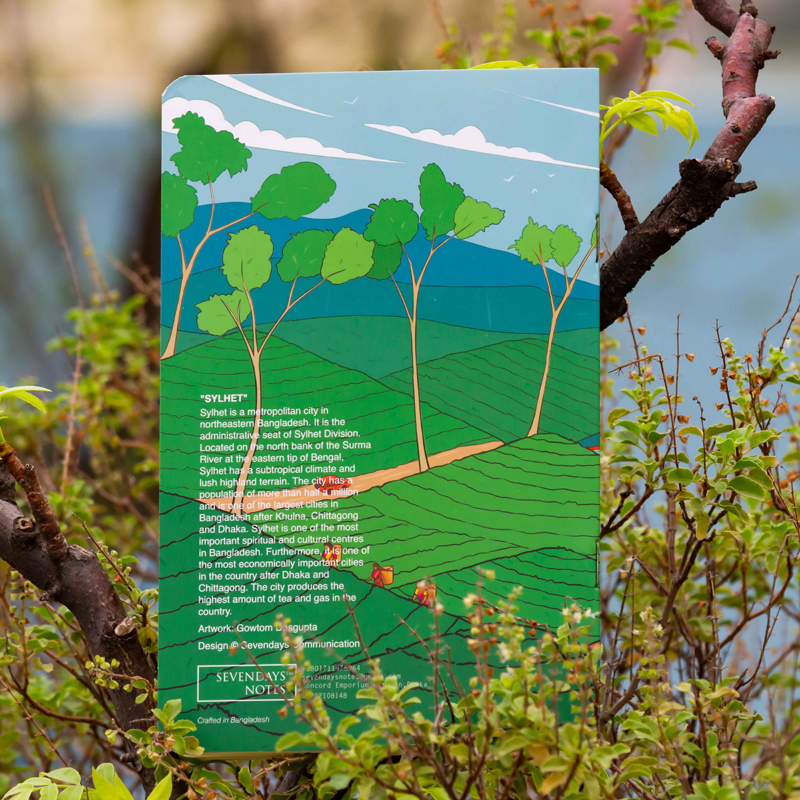 The description goes here